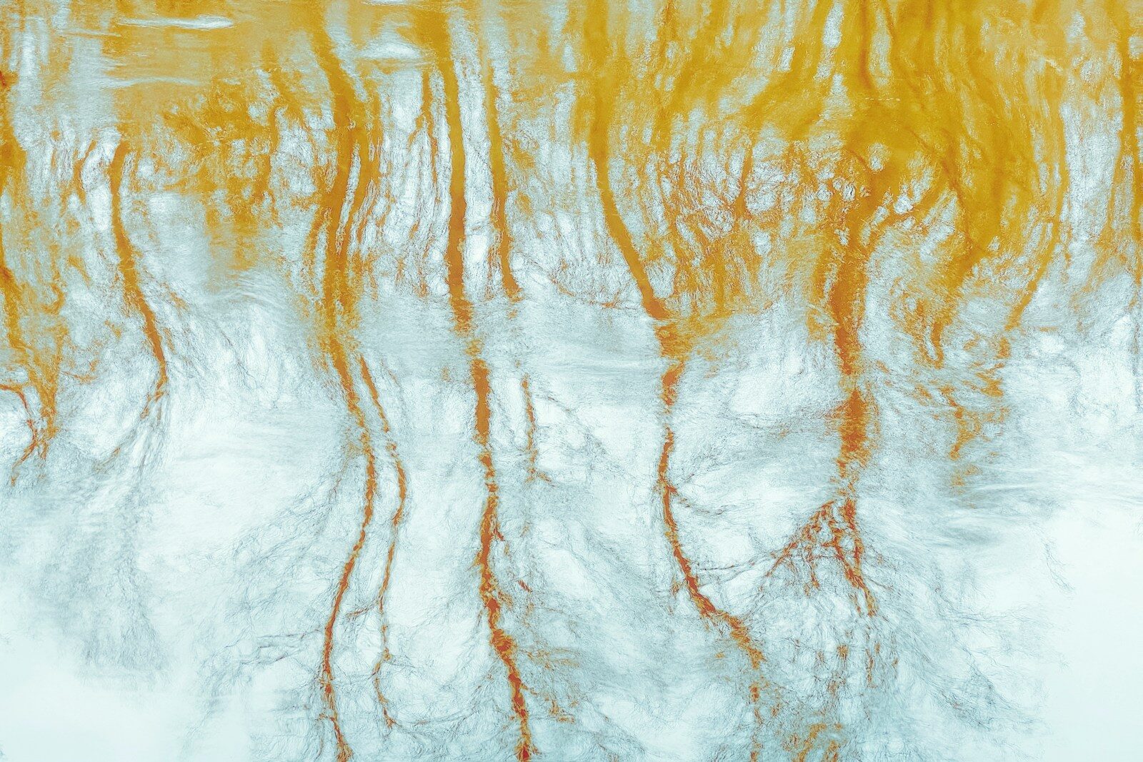 Wrongful Death Claims