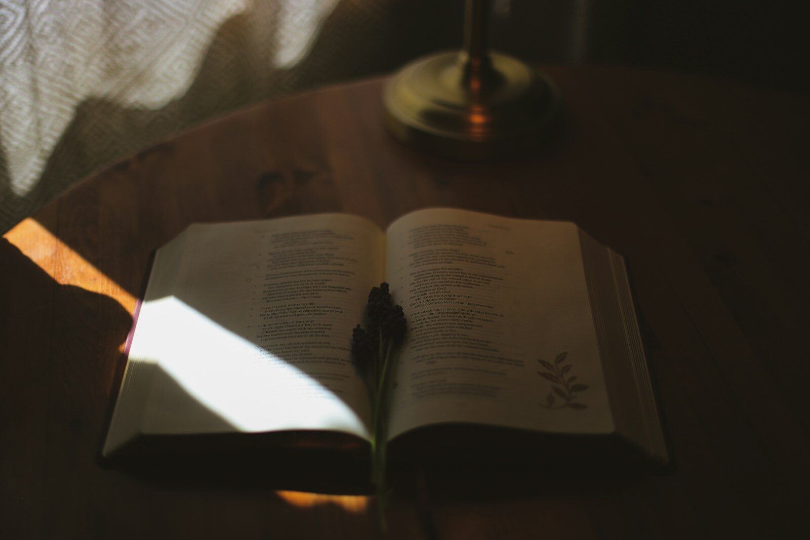 Assumption of Risk Doctrine